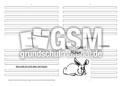 Hase-Faltbuch-vierseitig-4.pdf